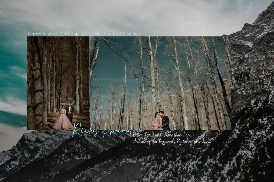 Ricky &amp; Parul photo 5